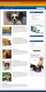 Dog Care Niche Blog