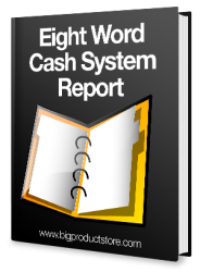 Eight Word Cash System Report