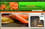 Growing Carrots Blog
