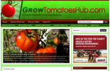 Growing Tomatoes Blog