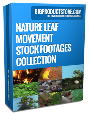 Nature Leaf Movement Stock Footages Collection Part 14