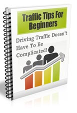 Traffic Tips For Beginners
