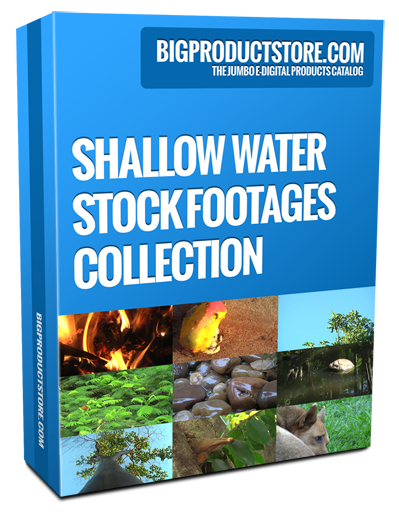 Shallow Water Stock Footage Collection Part 4