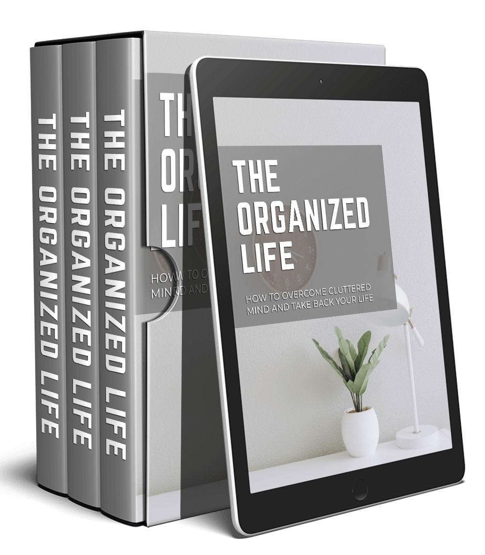 The Organized Life Video Upgrade Pack - BigProductStore.com